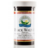 Orzech czarny (Black Walnut) Orzech czarny (Black Walnut)