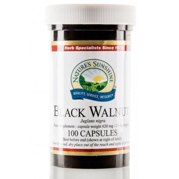 Orzech czarny (Black Walnut)