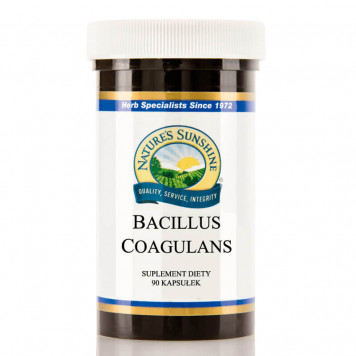 Bacillus coagulans (Bacillus coagulans) probiotyk 